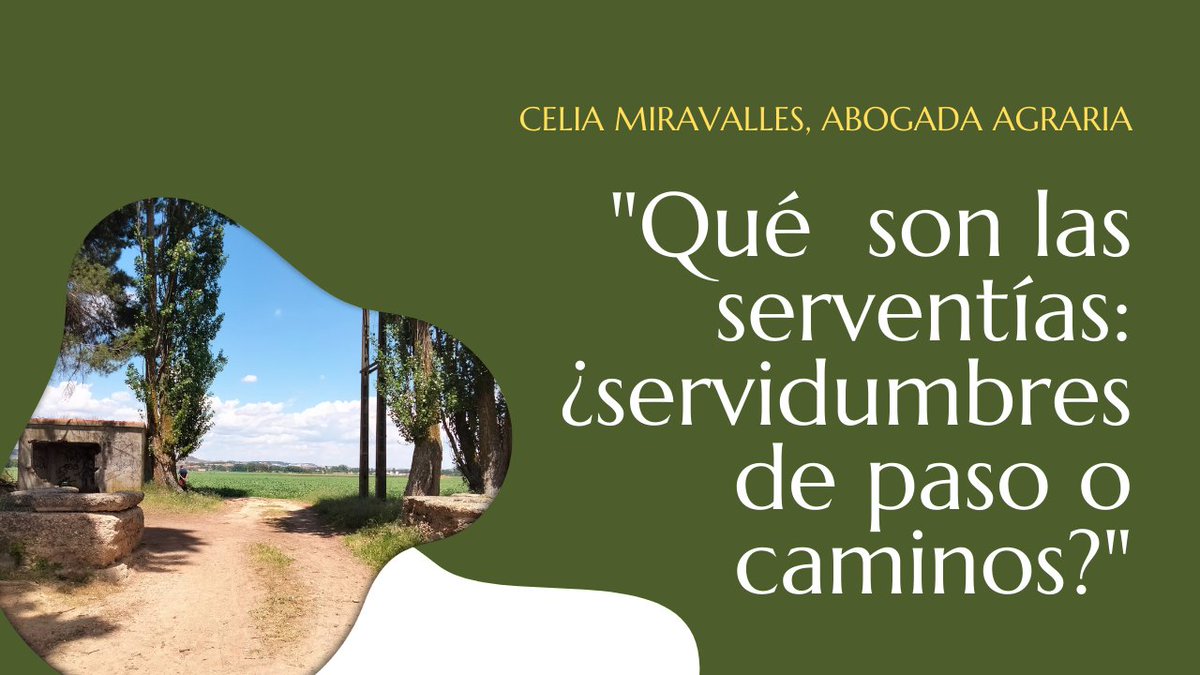 genergea's tweet photo. "Qué son las serventías: ¿servidumbres de paso o caminos?" https://t.co/AI5ATAncFI @AgronewsCyL https://t.co/NtlMrdsmdD