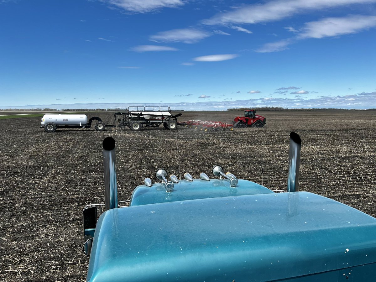 Lindsay Masse tweet media