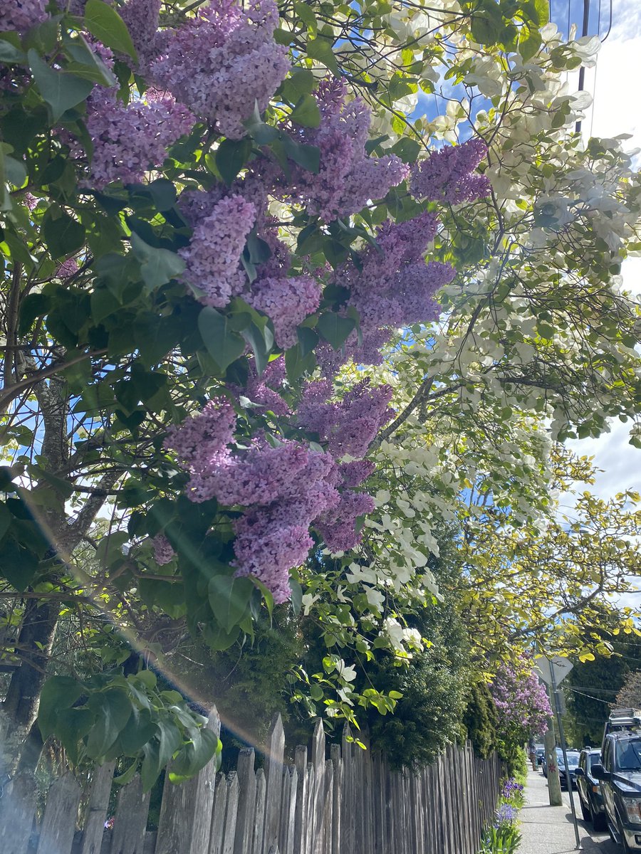 Kelly Bennett tweet media