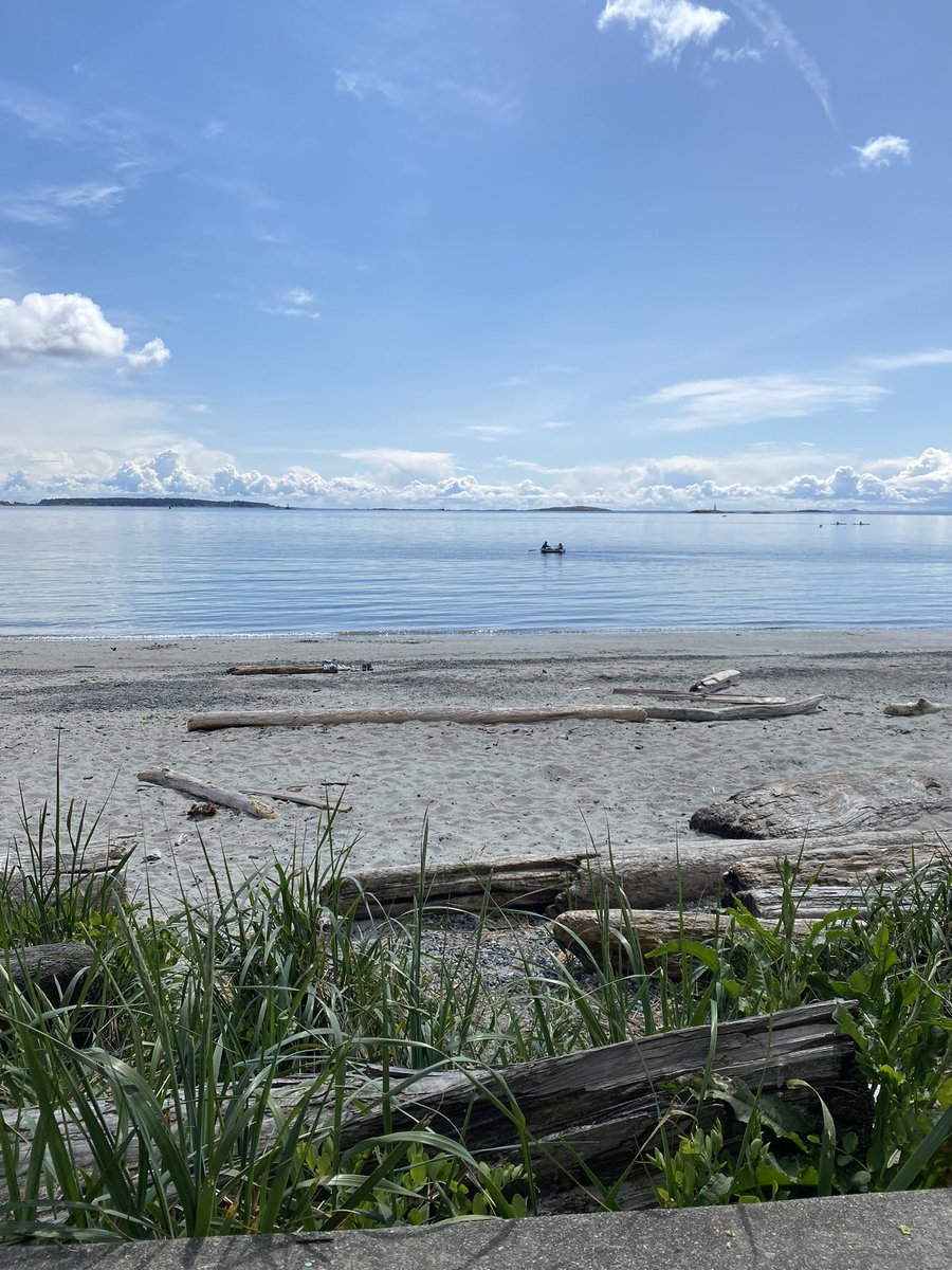 Kelly Bennett tweet media