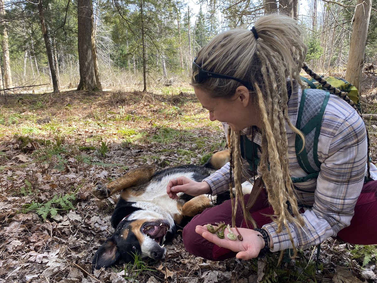 #CampwithCampingWorld yes please! It’s much easier to travel with pets when you have an RV 🐶 it’s the time of year to travel and find new places to forage for wild edibles 🧺💐🐶