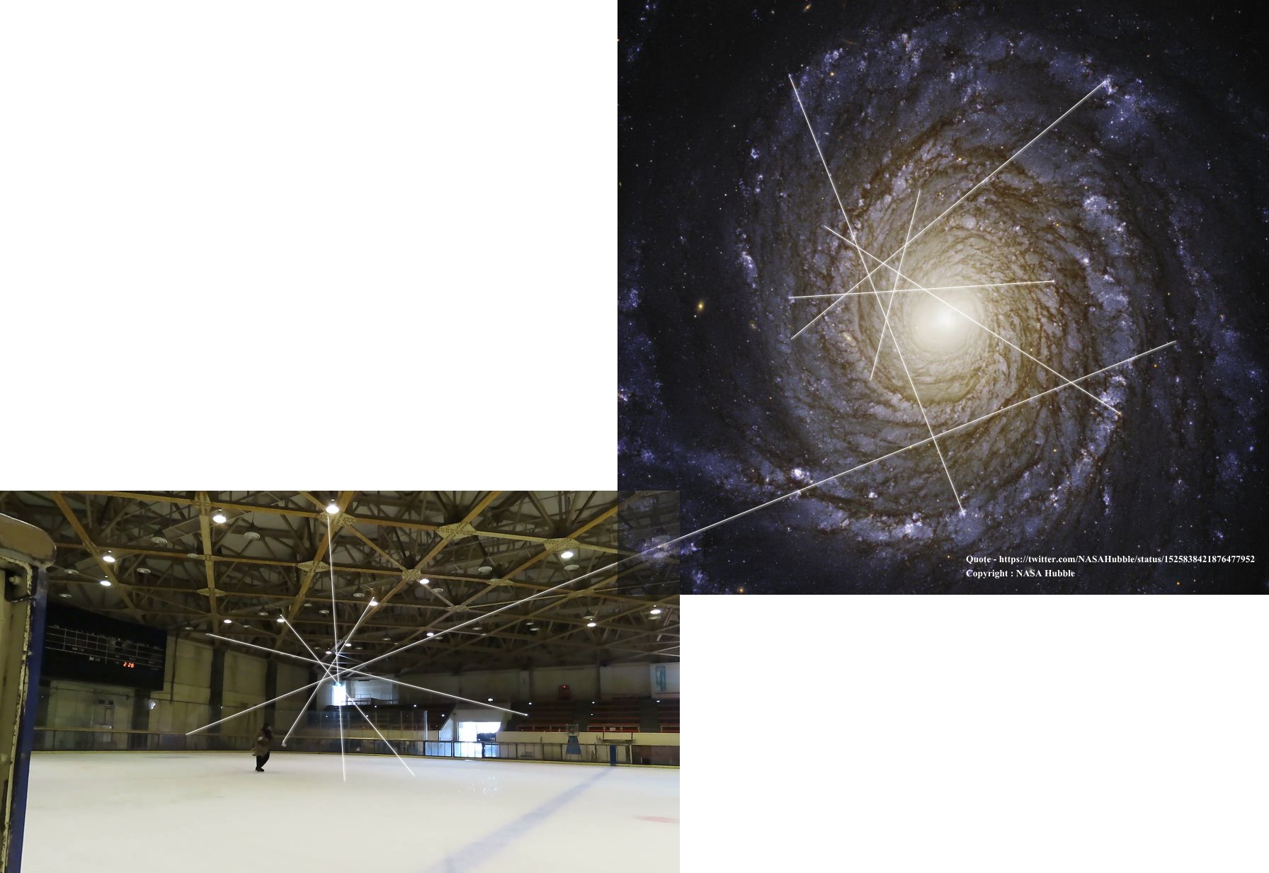 荒木伸行 on Twitter 