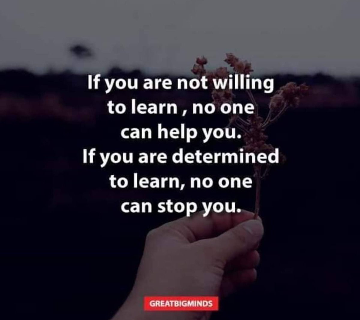 tamimatheny's tweet photo. Keep learning. Being prepared and knowledgeable increases confidence and success. #StartStrongSunday #TheConfidentAthlete https://t.co/fZGQPcERjG
