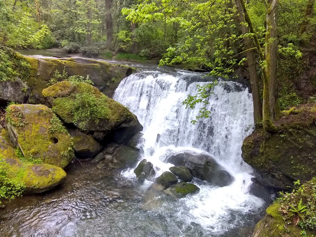 wineandhistory's tweet photo. This gorgeous view never gets old! A soggy but uplifting walk with girlfriends this morning. #WhatcomFalls #parks #morningwalk #waterfalls #girlfriends https://t.co/qEFFfTIZIe