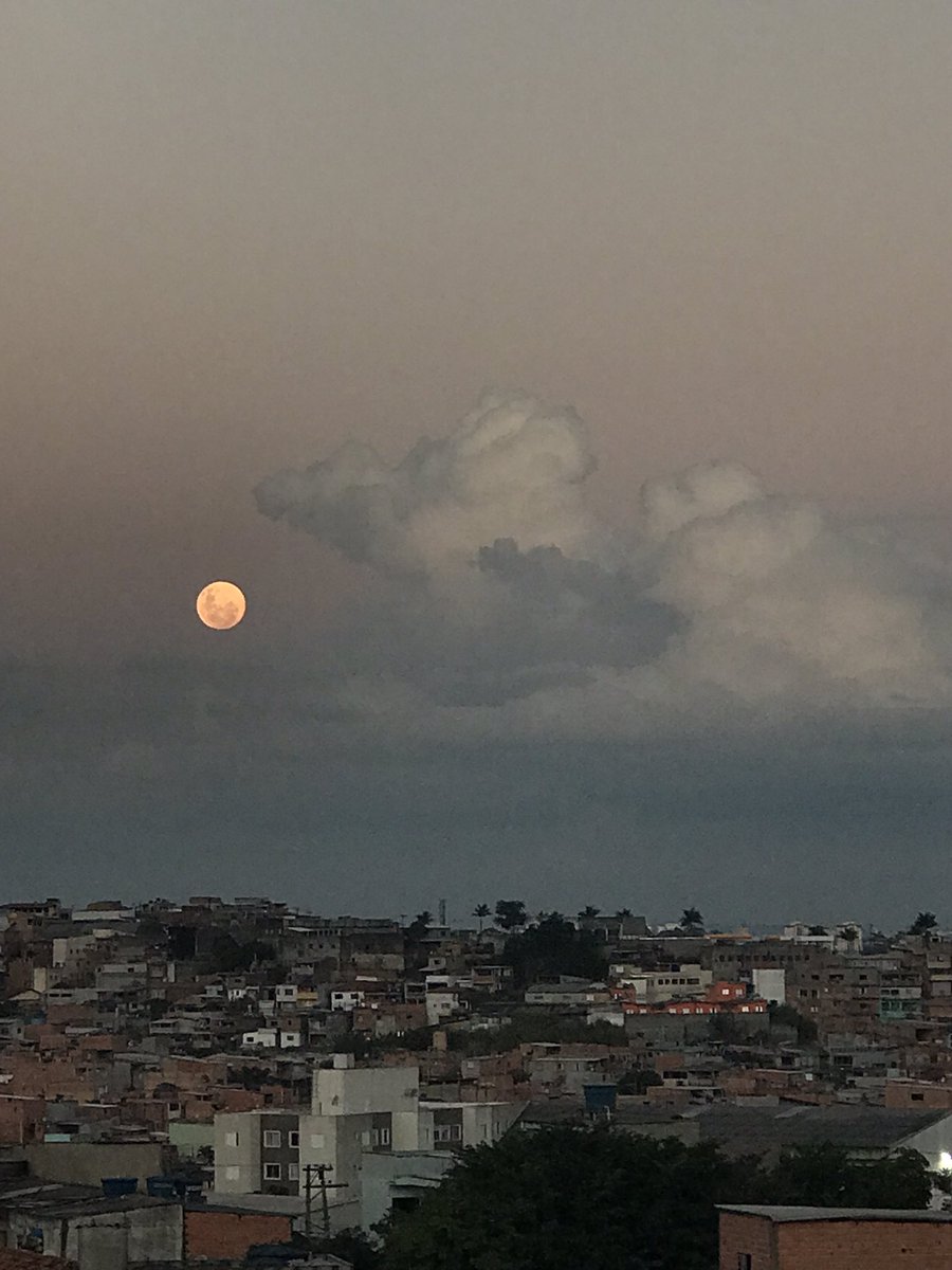 biawr_'s tweet photo. Gente olha como ta a lua aqui na onde eu moro🥺🥺🥺🥺 meoooo mt lindaaaa #EclipseLunar https://t.co/GQID3e27jO