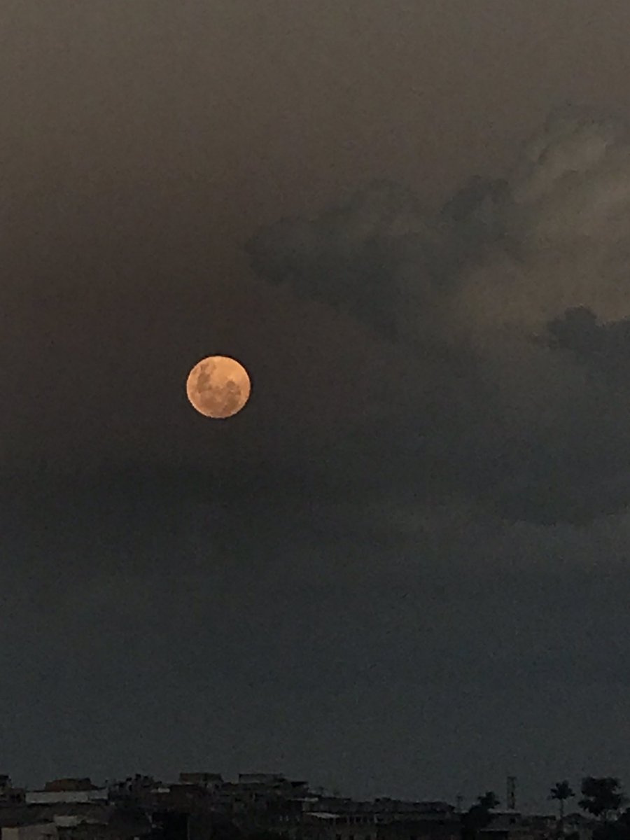 biawr_'s tweet photo. Gente olha como ta a lua aqui na onde eu moro🥺🥺🥺🥺 meoooo mt lindaaaa #EclipseLunar https://t.co/GQID3e27jO