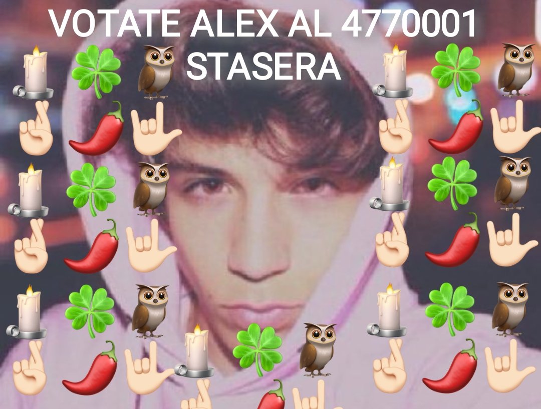 immartiwyse's tweet photo. torno dopo il televoto...
ZERO PASSI DA TE CHE SEI PARTE DI ME
E MENTRE IL SOLE SALE SALE SALE SALE SU
#amici21 #alexwyse #alex #codice02 https://t.co/VfFWZA14uw