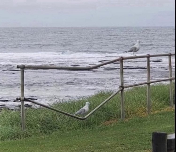 Correlation vs causation