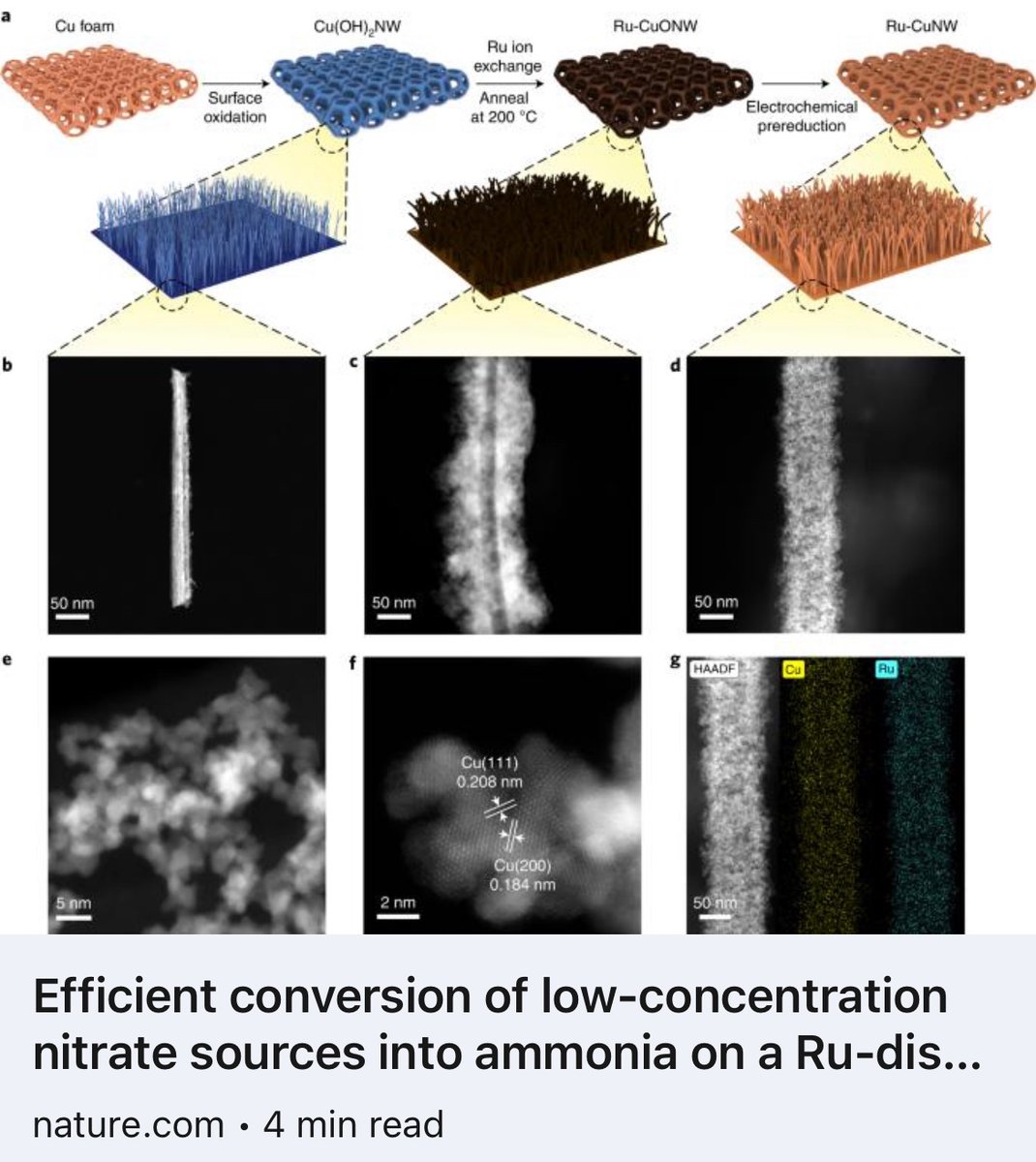 Kourosh Kalantar-Zadeh tweet media