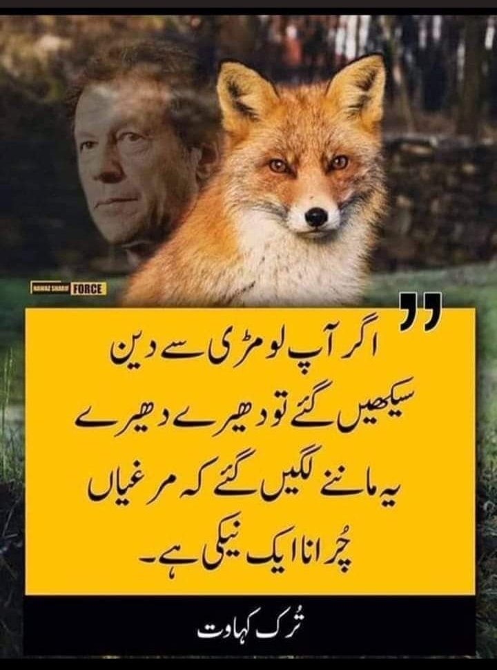 imranRi42393506's tweet photo. #imrankhanPTI #Bajwa 
#DaniaShah #Amirliaqathussain 

#غریدہ_دیکھو 
If youth learnt lslam from imran Khan.Slowly they would  belive speaks lie is the integral part of a pious man.Hypocracy is very essential for good human.speak lies continuously again again is the key of sucess https://t.co/2KNJG3DIHU