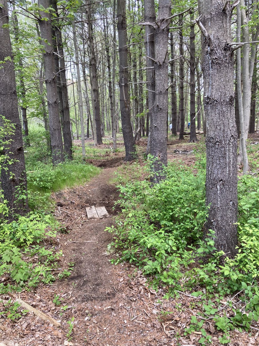 MillisMohawk's tweet photo. Some great progress made today! #MohawkTrail #INDIGENOUS https://t.co/45Fl0s5w1p