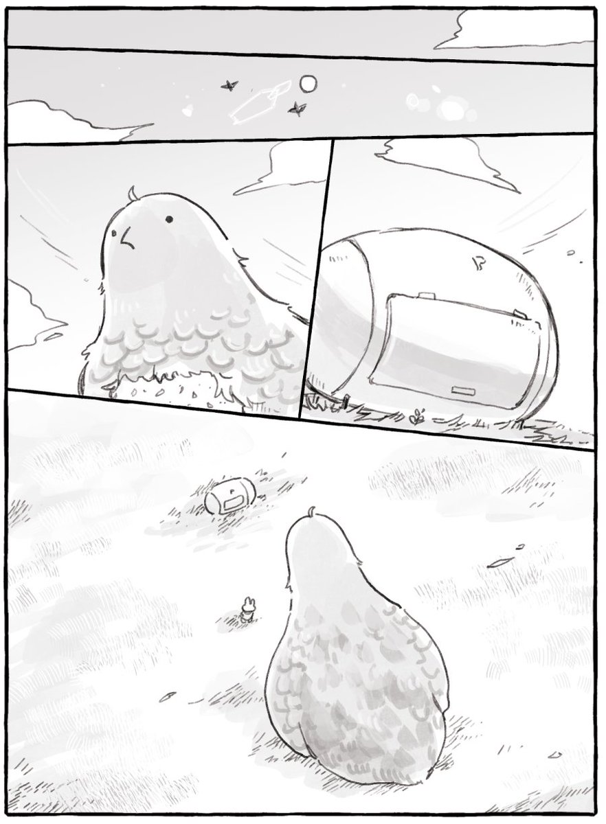 (5/6) 