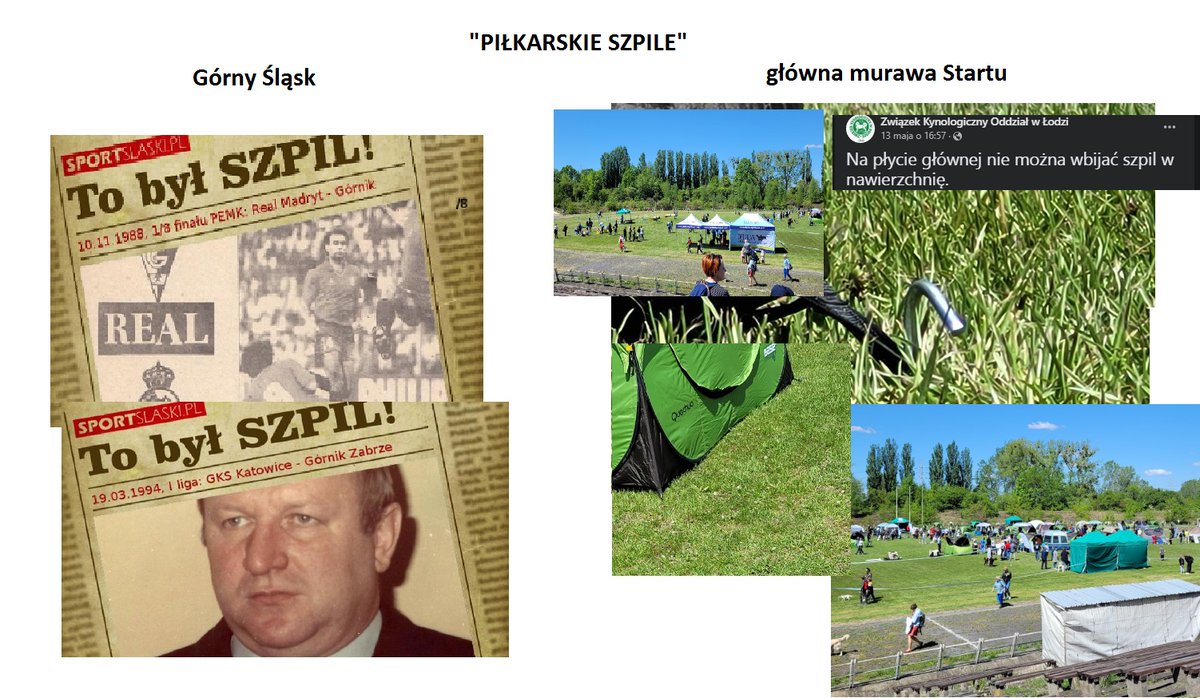 LodzStart's tweet photo. "Ale gówno grają" - słyszeliśmy z ust kibiców nie raz, nie dwa, ani nawet nie trzy razy. Po wystawie psów to określenie może nabrać nowego znaczenia. Dziękujemy dyrektorowi oraz najemcom za zadbanie, by podczas ostatnich domowych meczów na murawie nie zabrakło atrakcji. 😅 https://t.co/Y2kTAVUIwG