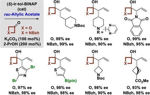 ACSCatalysis's tweet photo. Asymmetric allylation of oxetanones and azetidinones from @KrischeLab @nicholas_1658.  

Enantioselectivity possible via enantiotopic π-facial discrimination of the transient σ-allylmetal nucleophiles due to the chiral cyclometallated iridium catalyst. https://t.co/ndBfpVTfSj https://t.co/iJOnYyAjqL