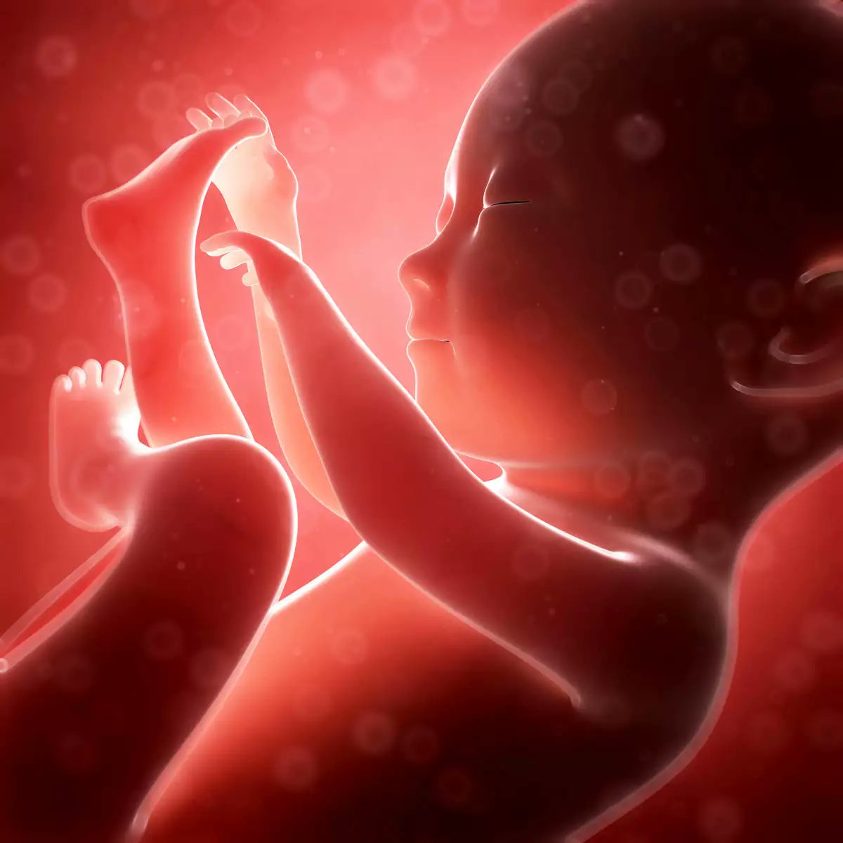 SaveDorothea's tweet photo. What do you think the appropriate term should be when addressing a seven month unborn baby?
A-Fetus
B-Unborn infant
C-Baby
I'm losing my sh*t that a Dr actually addressed our baby Dorothea as " Zofia &amp; Rob's fetus".
#really https://t.co/xsP2hDbKhS