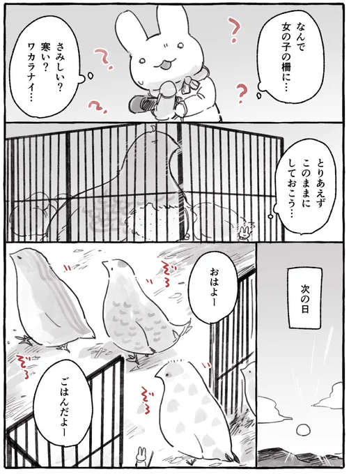 (3/6) 