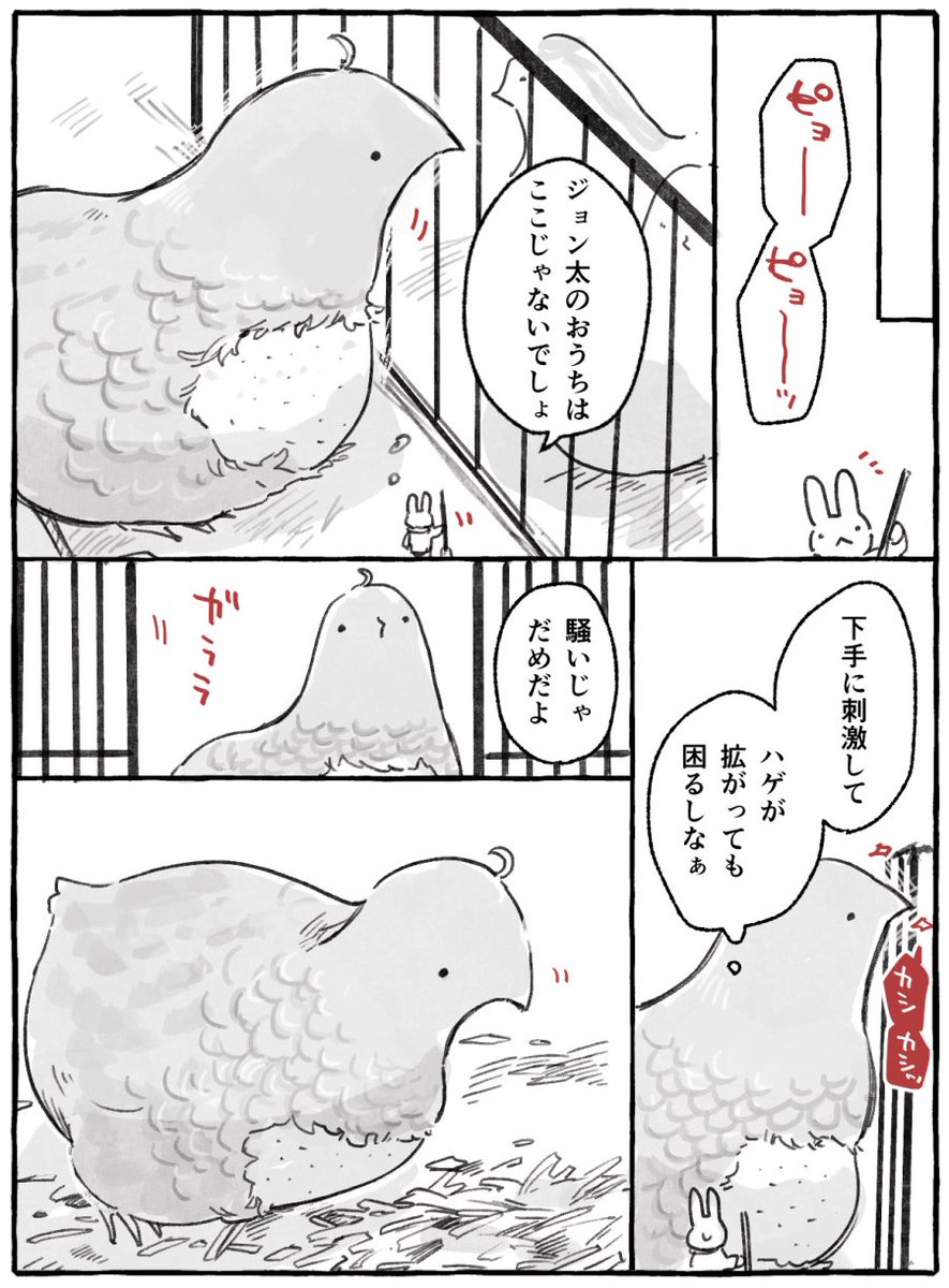 (3/6) 