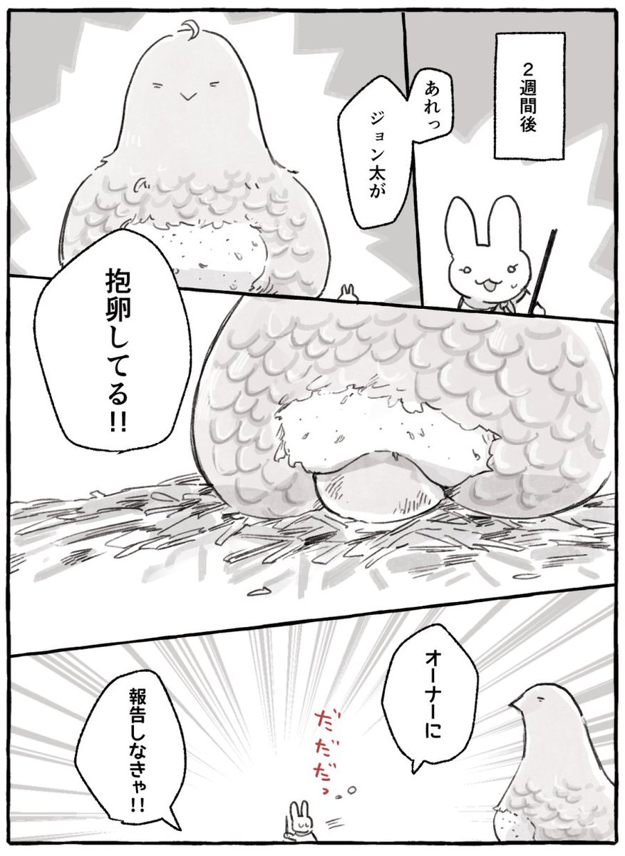 (4/6) 