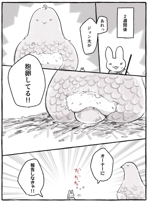 (4/6) 