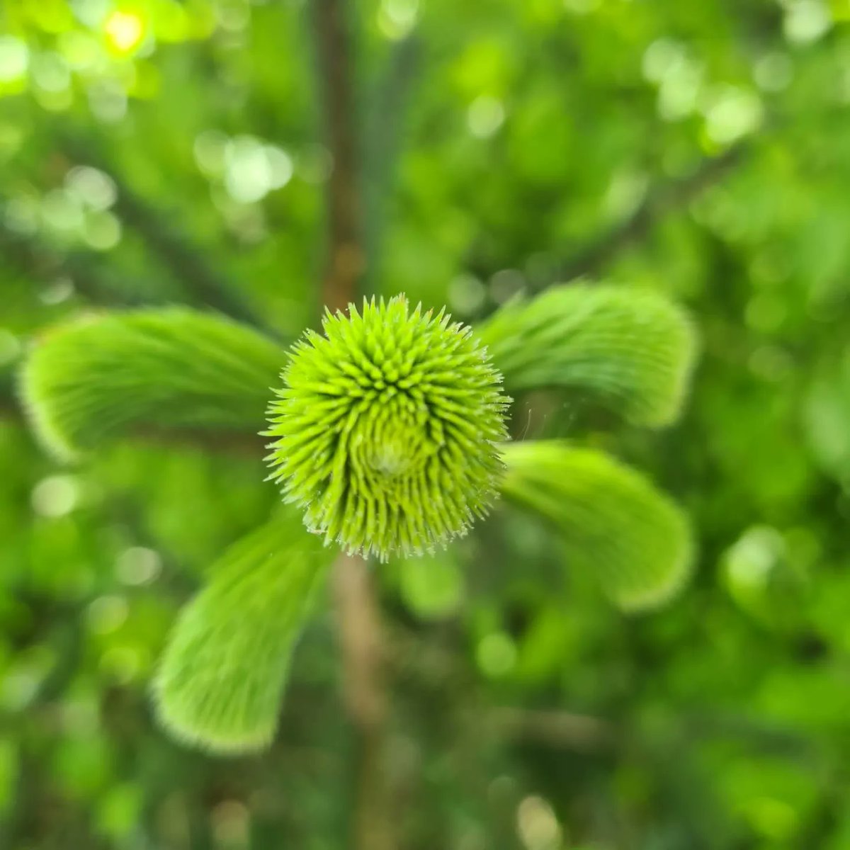 MissOutdoorEd's tweet photo. Enjoy nature! Alwen Reservoir. #gooutdoors #explore #microadventure https://t.co/srrTBcfsFC