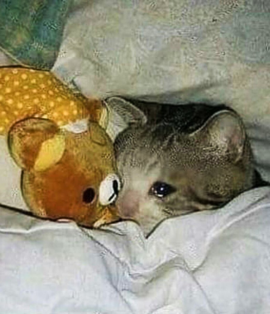 "Yokluğun rehin alır, alışmak istemişsem bile yüküm ağır."