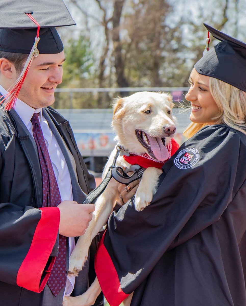 sacredheartuniv's tweet photo. Harley graduated magna woof laude in the #SHUPets Class of 2022 🐶🎓

📸: Elizabeth Szachacz '22 &amp; Brendan Whitehead '22

#WeAreSHU #GradSHUation #SHU2022 https://t.co/VqgspNwQoW