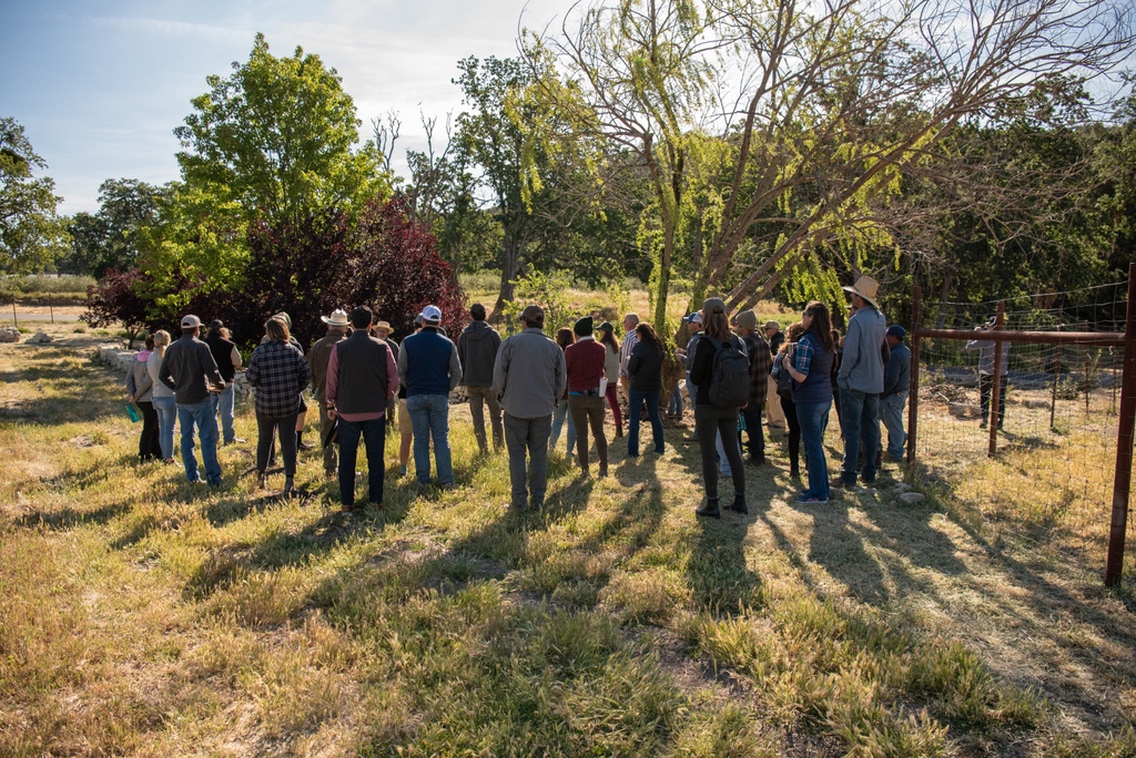 Tablas Creek tweet media