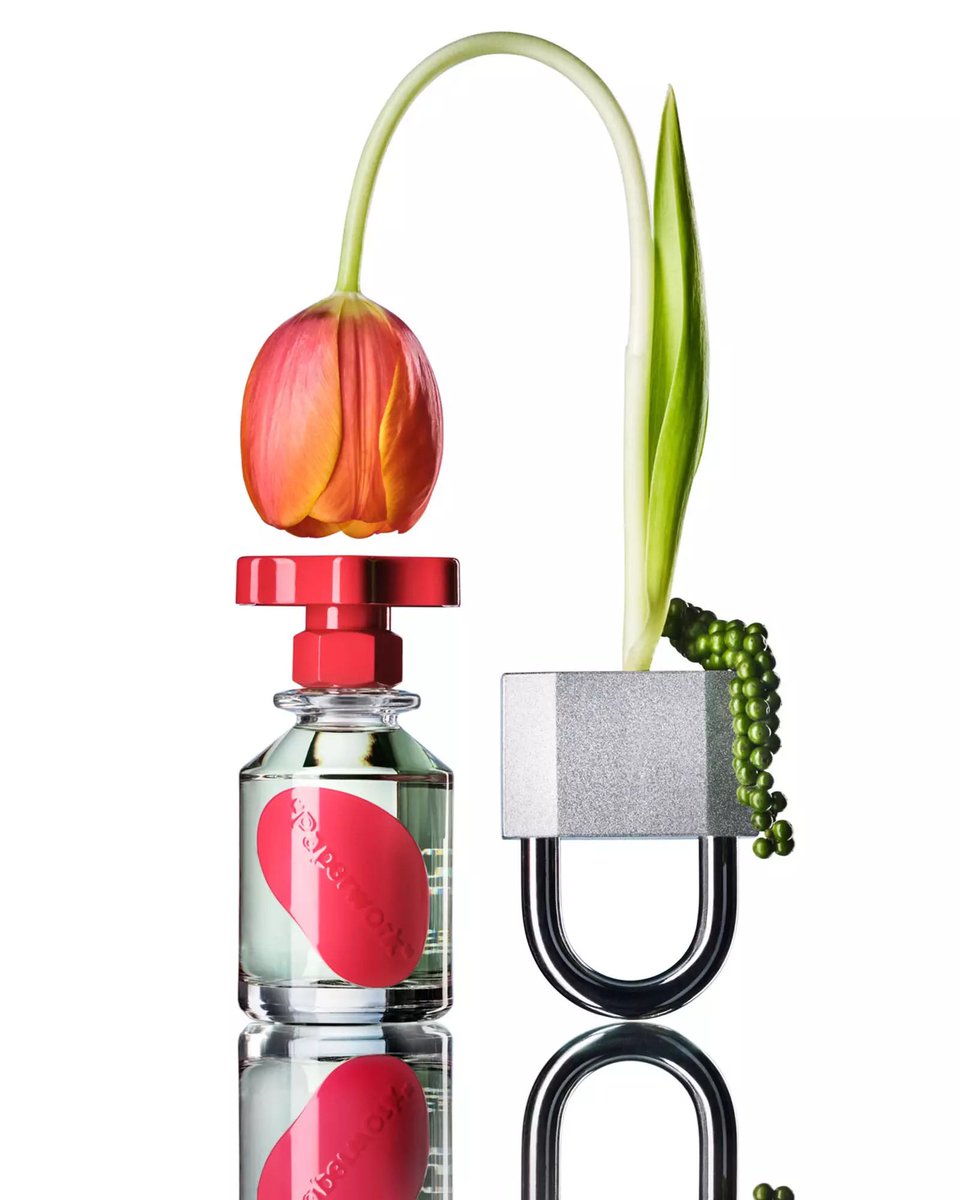 Schanel BAKKOUCHE tweet media