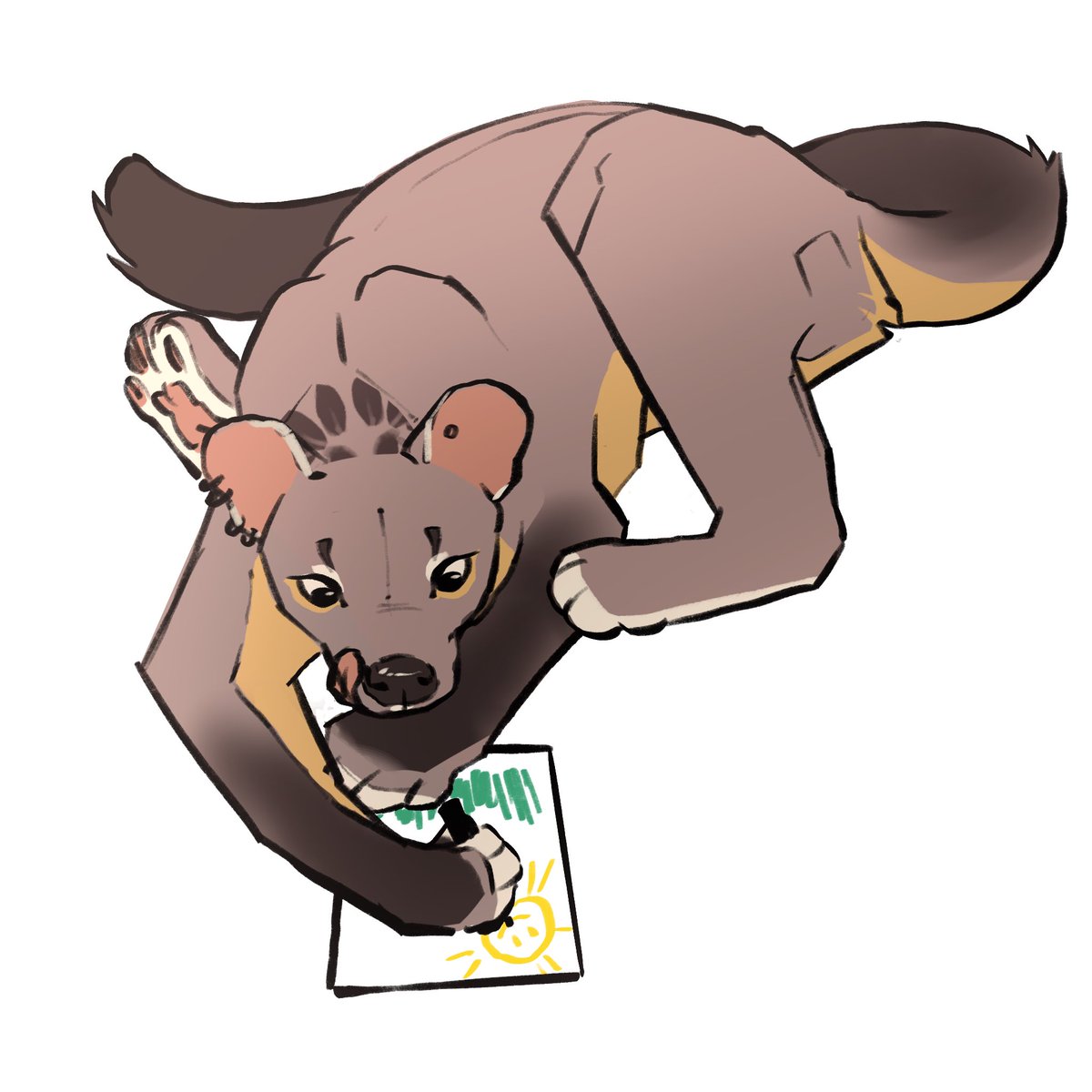 miniastera's tweet photo. Hello #fossa https://t.co/gMdOOSM0Oi