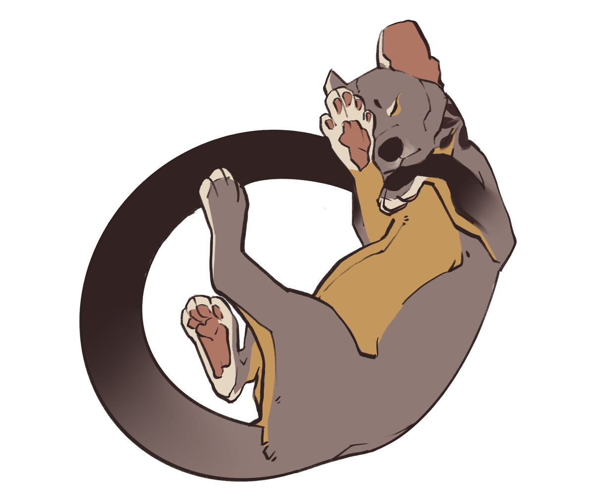 miniastera's tweet photo. Hello #fossa https://t.co/gMdOOSM0Oi