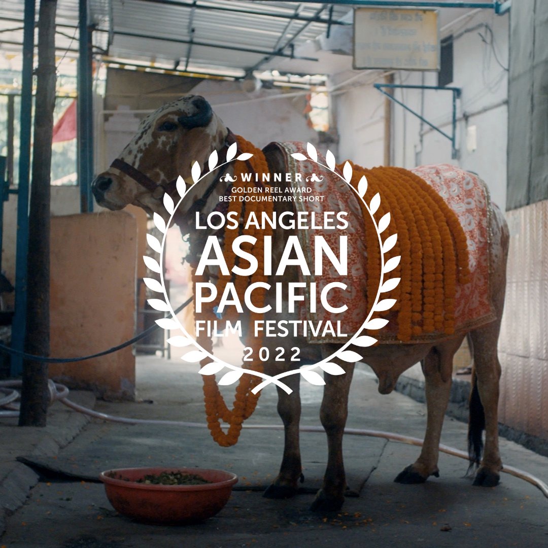 VCFilmFestival tweet media