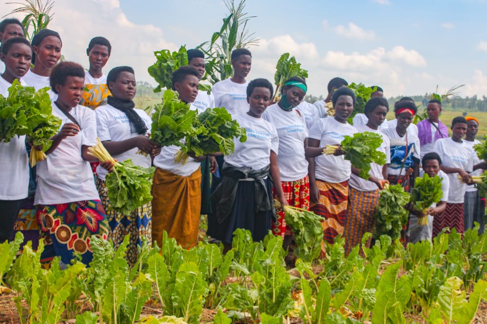 Rwandabiosolut's tweet photo. It was fun and an Amazing experience harvesting Beetroots and Spinach.

Teen mothers and  Former street vendors who now sell in Nyabugogo Market met to discuss the market of their vegetables.

Can't afford to miss the organic vegetables https://t.co/4DTDCrUNsx