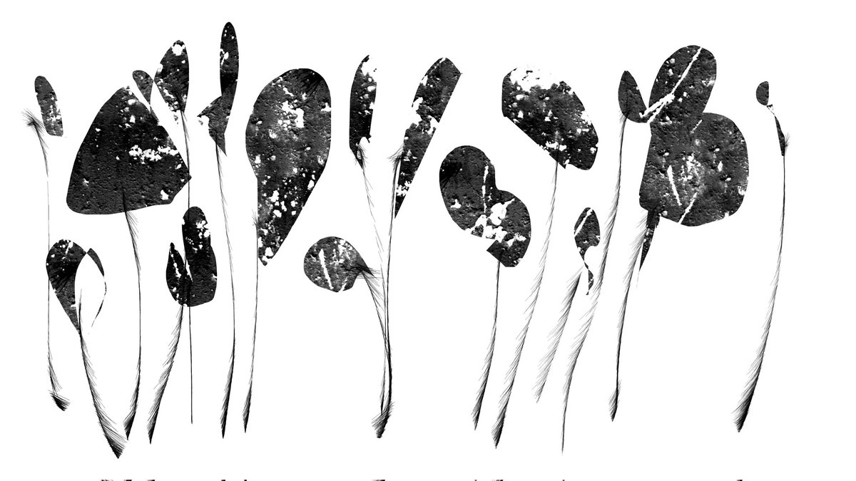 beh_zaad_art's tweet photo. @NftInvestor369 No.106" 
Digitalpainting 3500×1968 px
Open for bids $ETH  1/1
https://t.co/iWUDu3L0AC #nft #nfts #nftcommunity #digitalart #blackandwhite @rarible https://t.co/wC3CH8vRuP https://t.co/LT7a5h8PJc