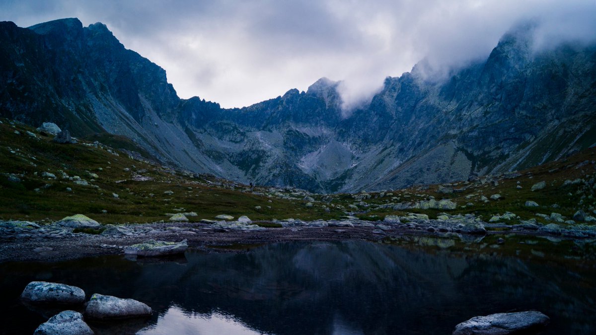 Double Cross Vodka tweet media