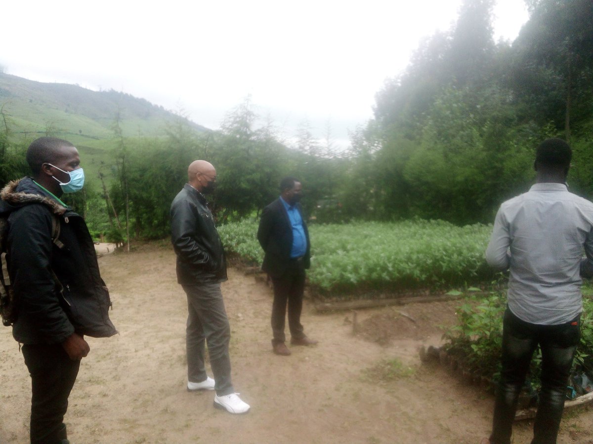 Gishwati Modern Agriculture &Environmental Mgt Ltd tweet media