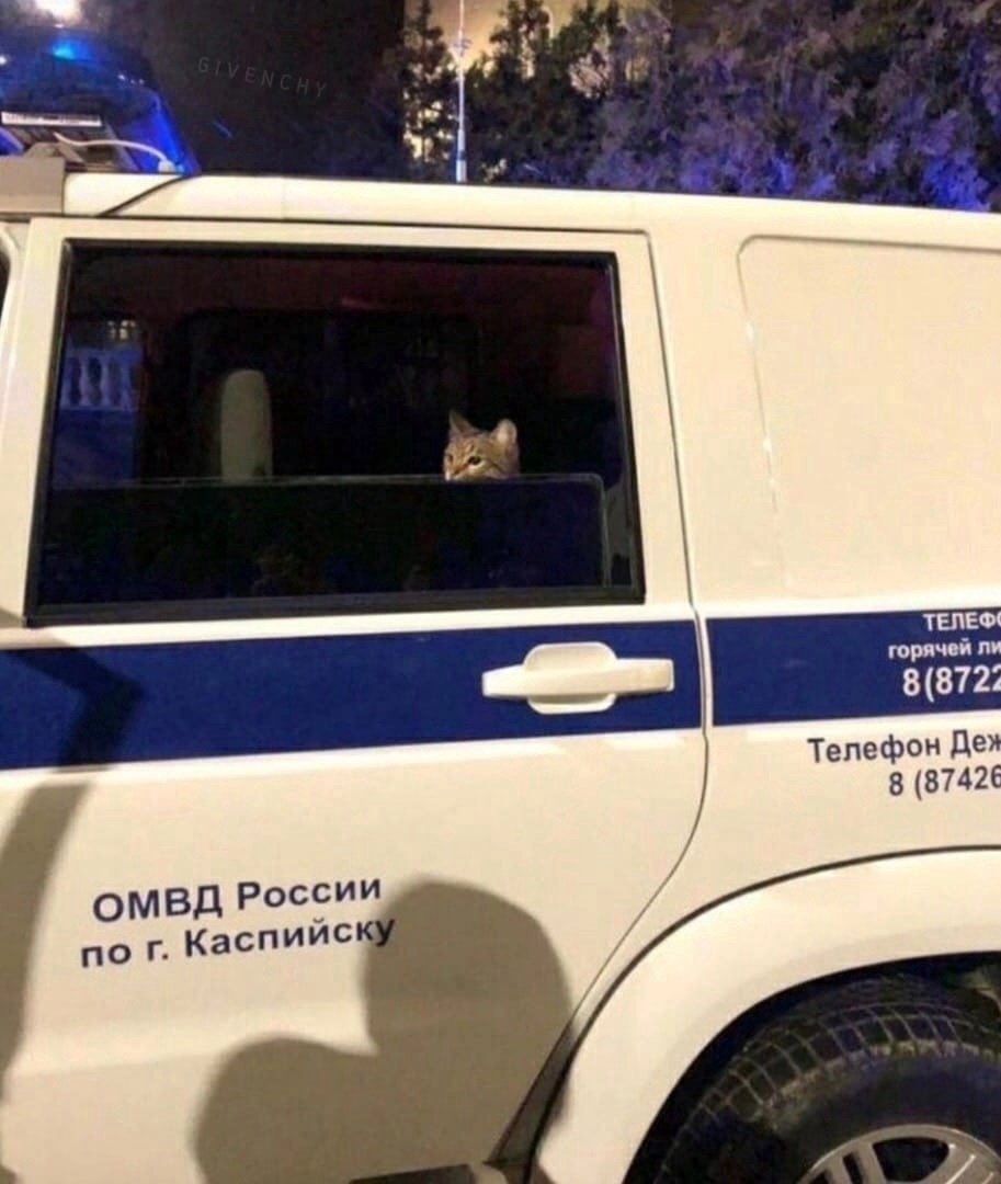 Это я украл твое сердечко ❤