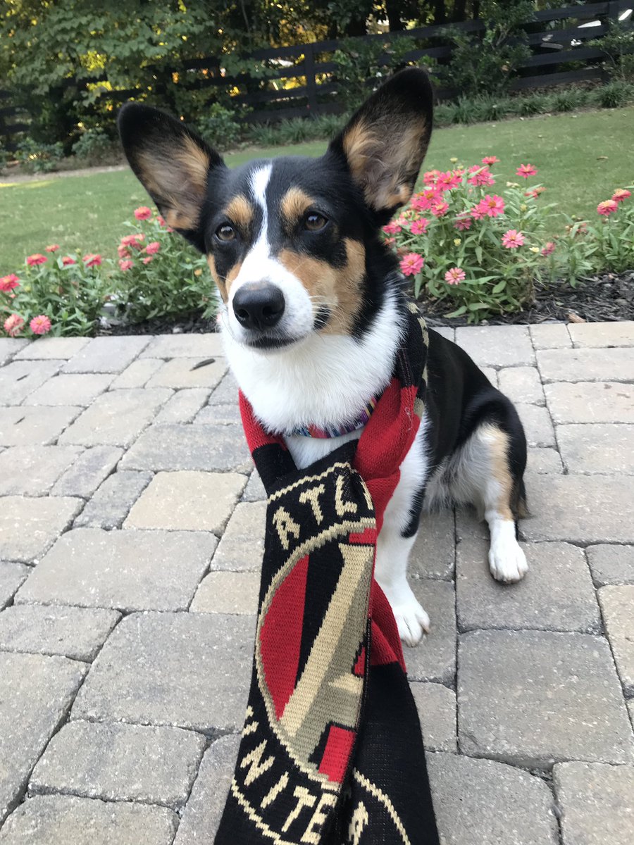 TroyHarris4str's tweet photo. We ready!
#uniteandconquer #ATLUTD https://t.co/hIt30t2lo5