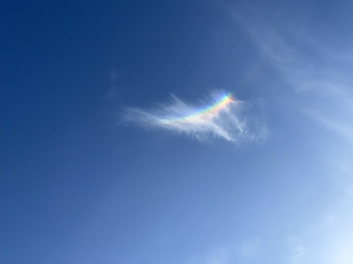 Cadeautje in de lucht🌈 Dit is geen gewone regenboog toch? <a href="/WilliamHuizinga/">William Huizinga</a> #mooielucht #regenboog #prachtigedag