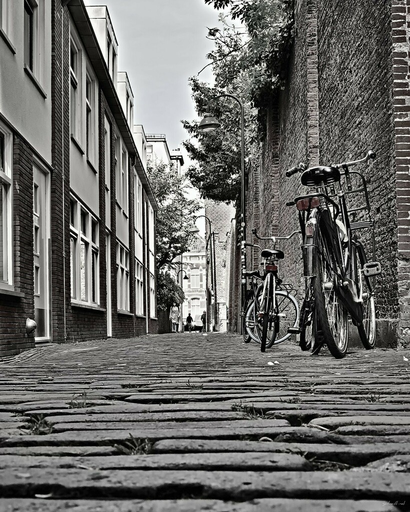 Ich war mal wieder im Land der Fietser unterwegs 🙃.

#streets #fiets #delftcentrum #picoftheday #photography #lowangleshots #city #lowanglephotography #streetphotography #lowangleshot #delft #lowangleview #instatravel #citytrip #photooftheday #travel… instagr.am/p/CdlfwXKIyMp/