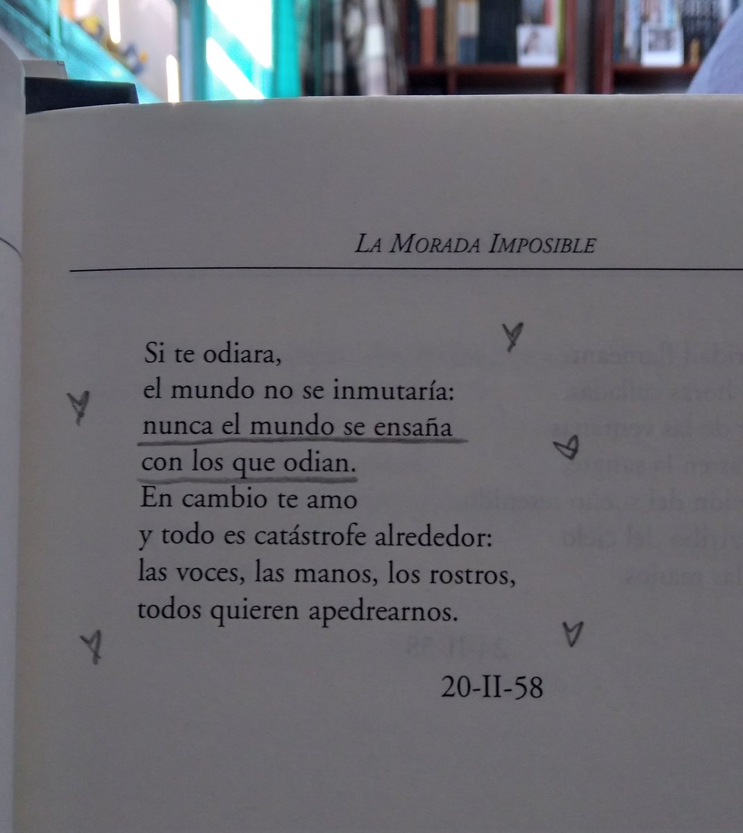 pidoelsilencio's tweet photo. Susana Thénon https://t.co/wxSFPU23w0