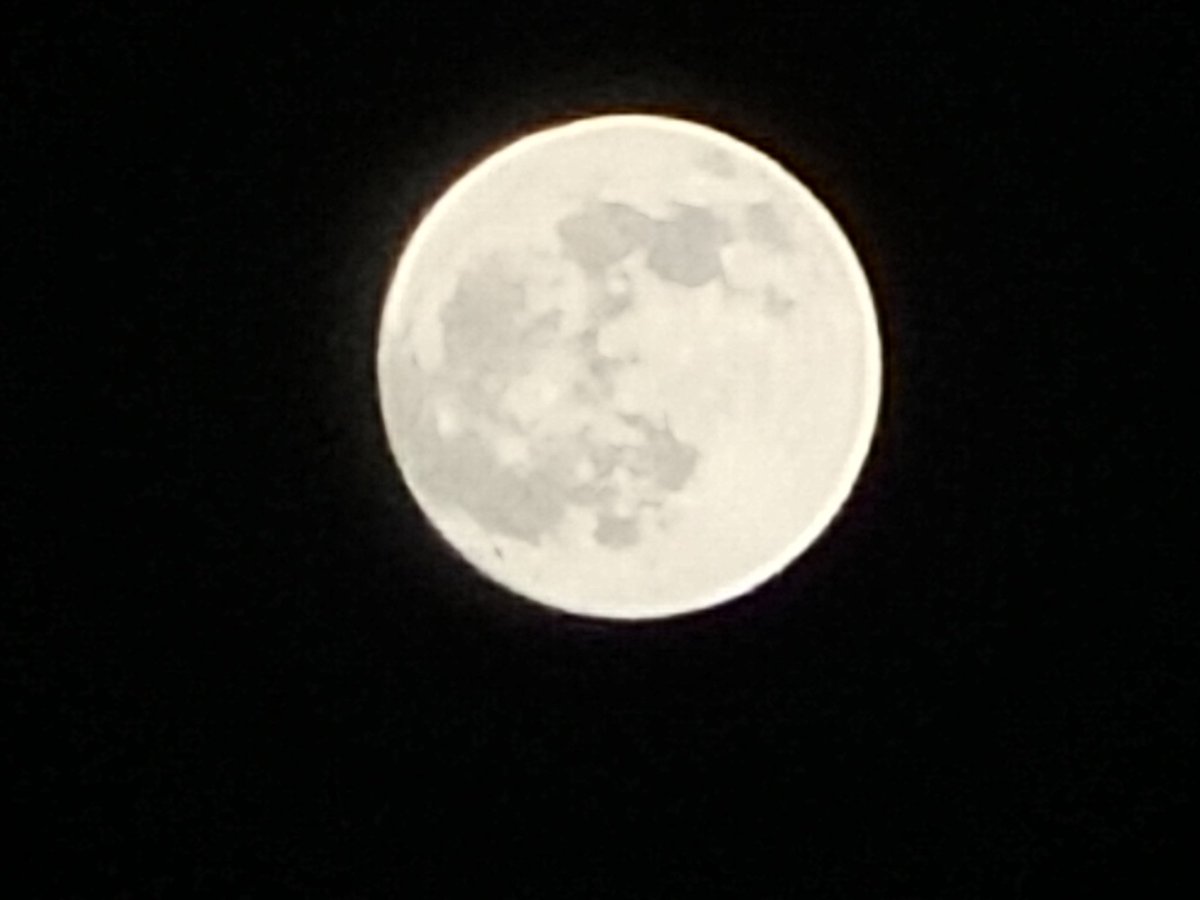 zainabmsheikh's tweet image. i can't believe my phone captured this 🌕