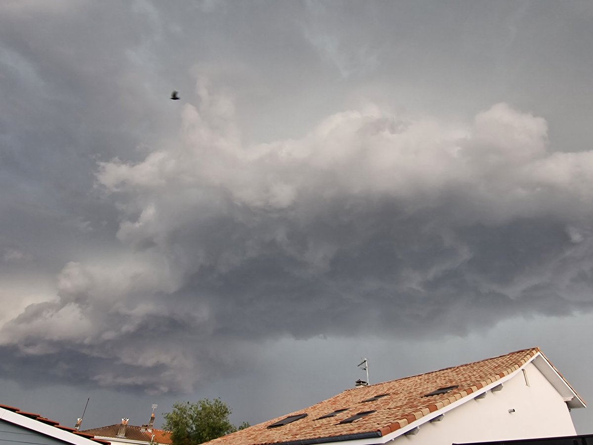 anne sophie rocuet tweet media