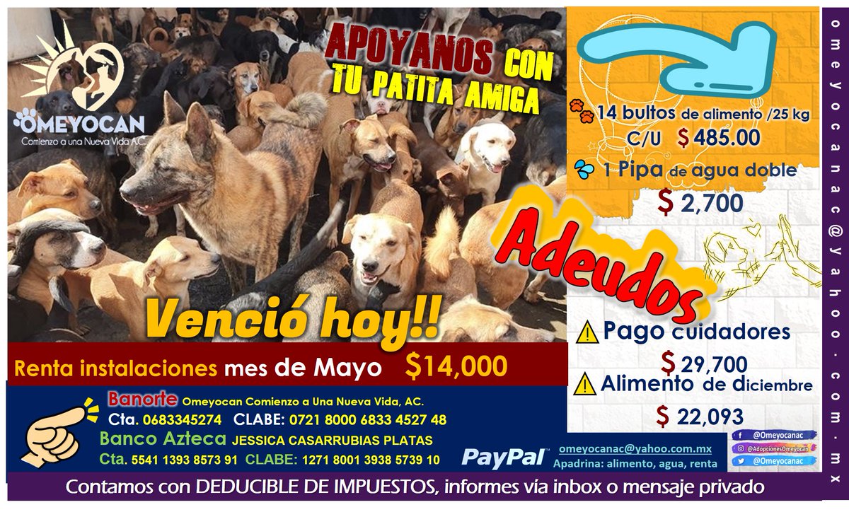 OMEYOCANAC's tweet image. Su apoyo hace realidad el cambio y juntos, hacemos cambios con hechos y no solo palabras.

La acción de ayudar es un compromiso y solo la unión hace la fuerza de ver su tranquilidad.

#RECUERDA QUE DESDE 💰$ 50.00 PESITOS puedes #apoyarnos. 🐕