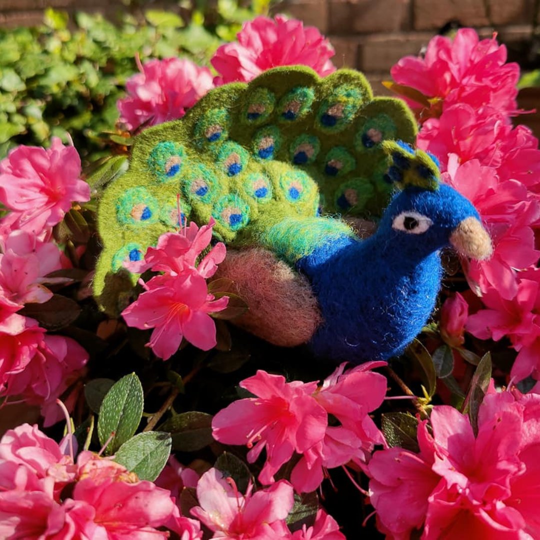 The Crafty Kit Company tweet media