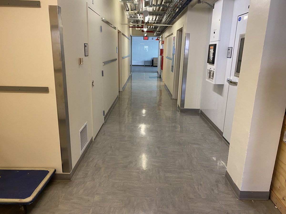 SimsPhotonHobo's tweet photo. The Light Sheet Fluorescence Microscopy course is finished and again the lab feels so empty and lonely. @LSFMMBL @MBLScience @HamamatsuPhoton https://t.co/SwyWD8O2dS