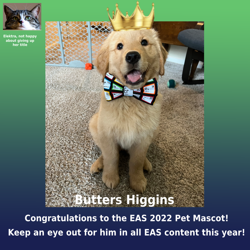 EASorg's tweet photo. Congratulations to Butters Higgins on becoming the new #EAS2022 Pet Mascot!

#DiversitEAS #SustainabilitEAS #EASp3 #serEASscience #conference #chemistry #analytical #science #AnalyticalChemistry #explorepage #pets #dog #cat #contest #mascot #cute #animal https://t.co/nPUzNISjQR