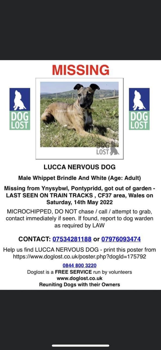 Please spread the word and help us find little Lucca 🙏❤️