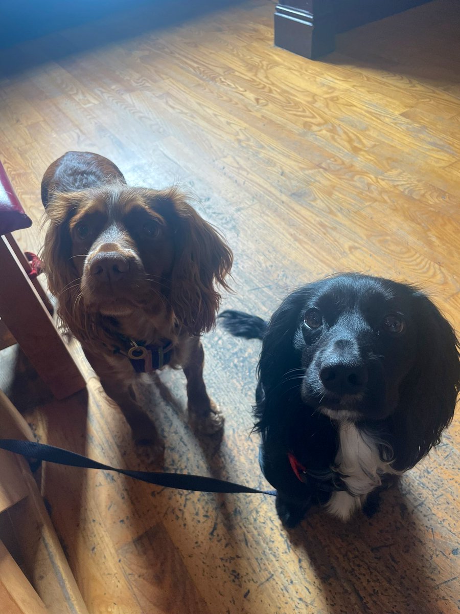 Miss Dodds tweet media