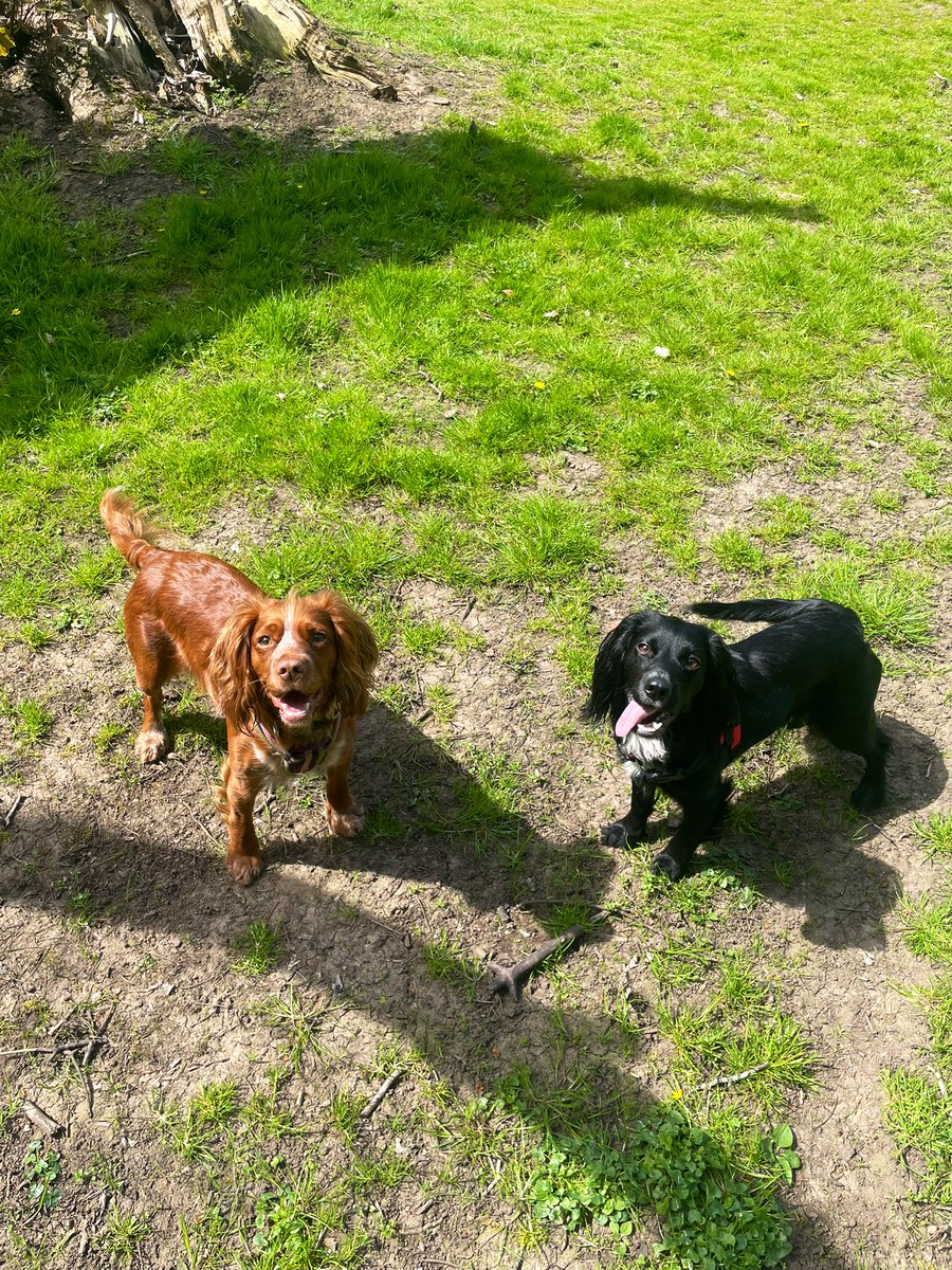 Miss Dodds tweet media