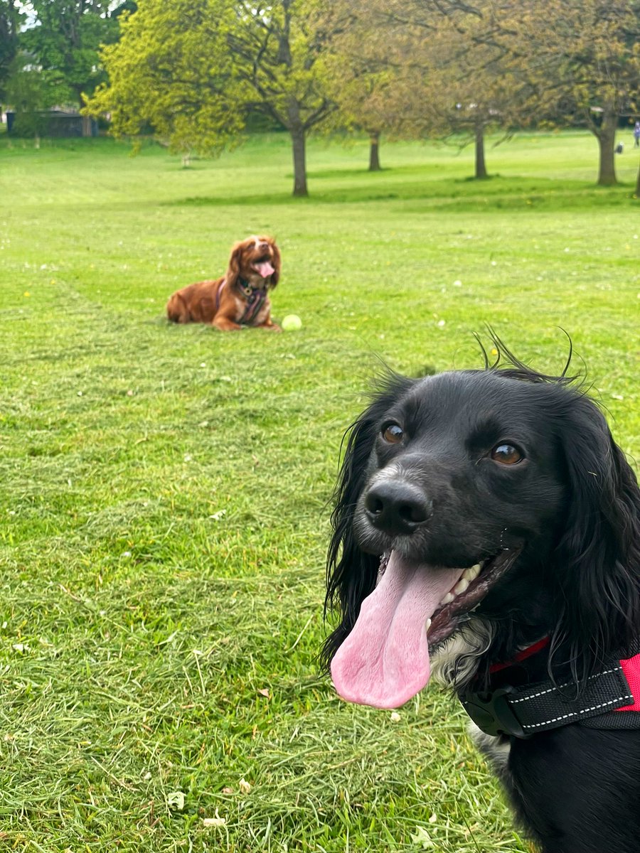 Miss Dodds tweet media